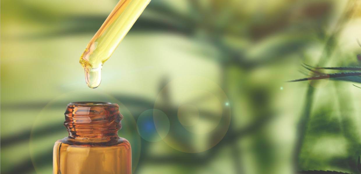 CBD olja och multipel skleros