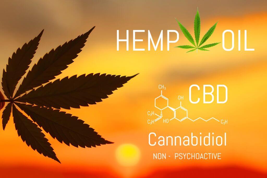 Varför Hampa Te ? hemp oil photo in sunrice